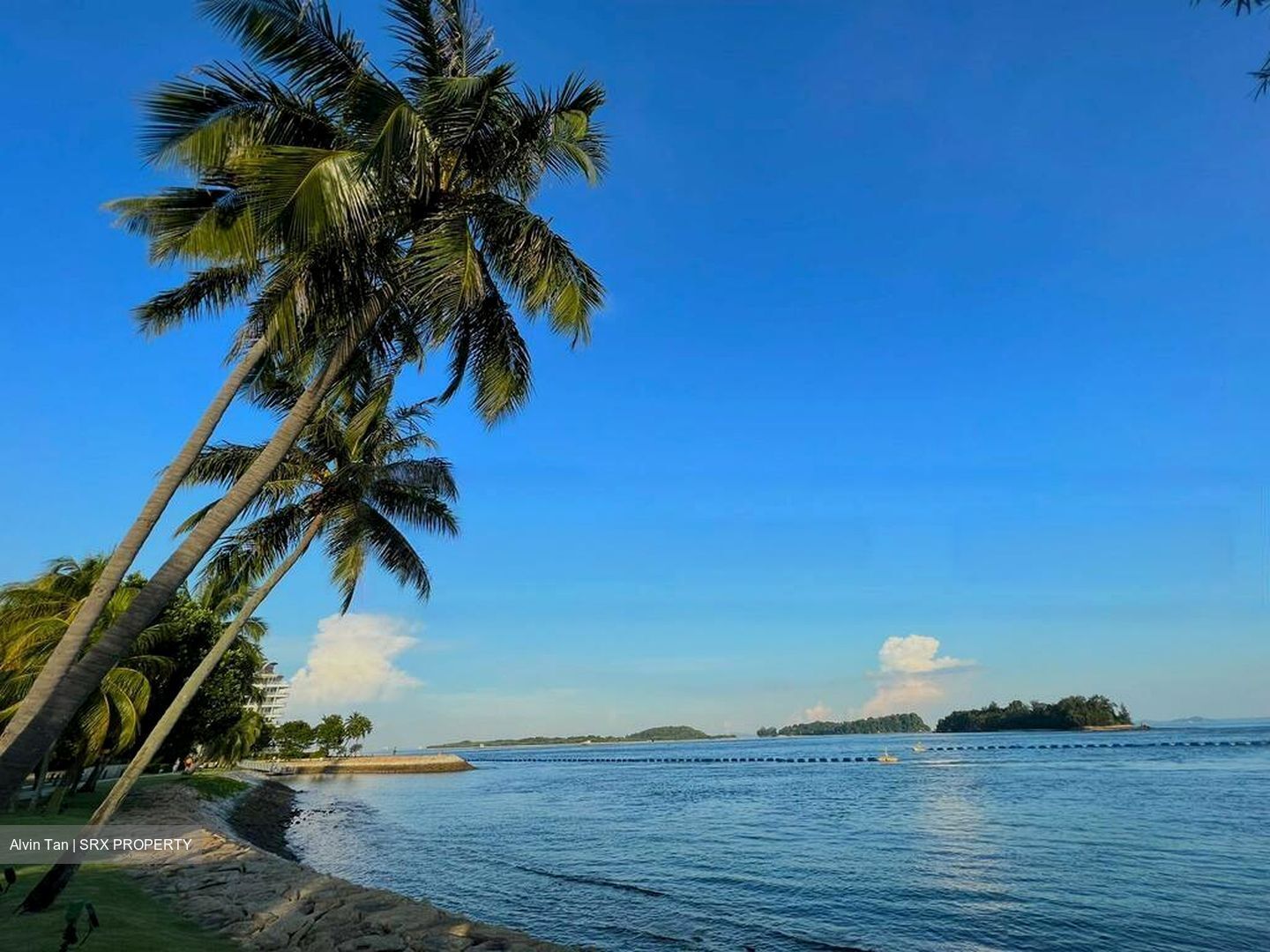 Cove Drive (D4), Detached #464388241